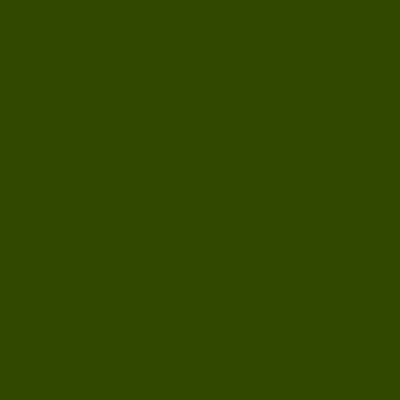 Pěnová guma Foamiran - tmavě zelená