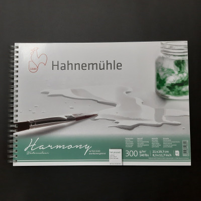 Blok Hahnemühle, 300g, 12xA4 listů jemné, vodné na akvarelové techniky, včetně malby, na namočený papír (wet-on wet)